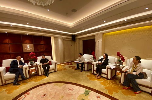 龍泉造 汽車華麗亮相首屆中國國際消博會