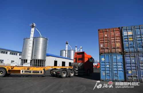 新疆糧油深加工企業(yè)依托口岸優(yōu)勢(shì)，以技術(shù)開發(fā)驅(qū)動(dòng)產(chǎn)業(yè)升級(jí)